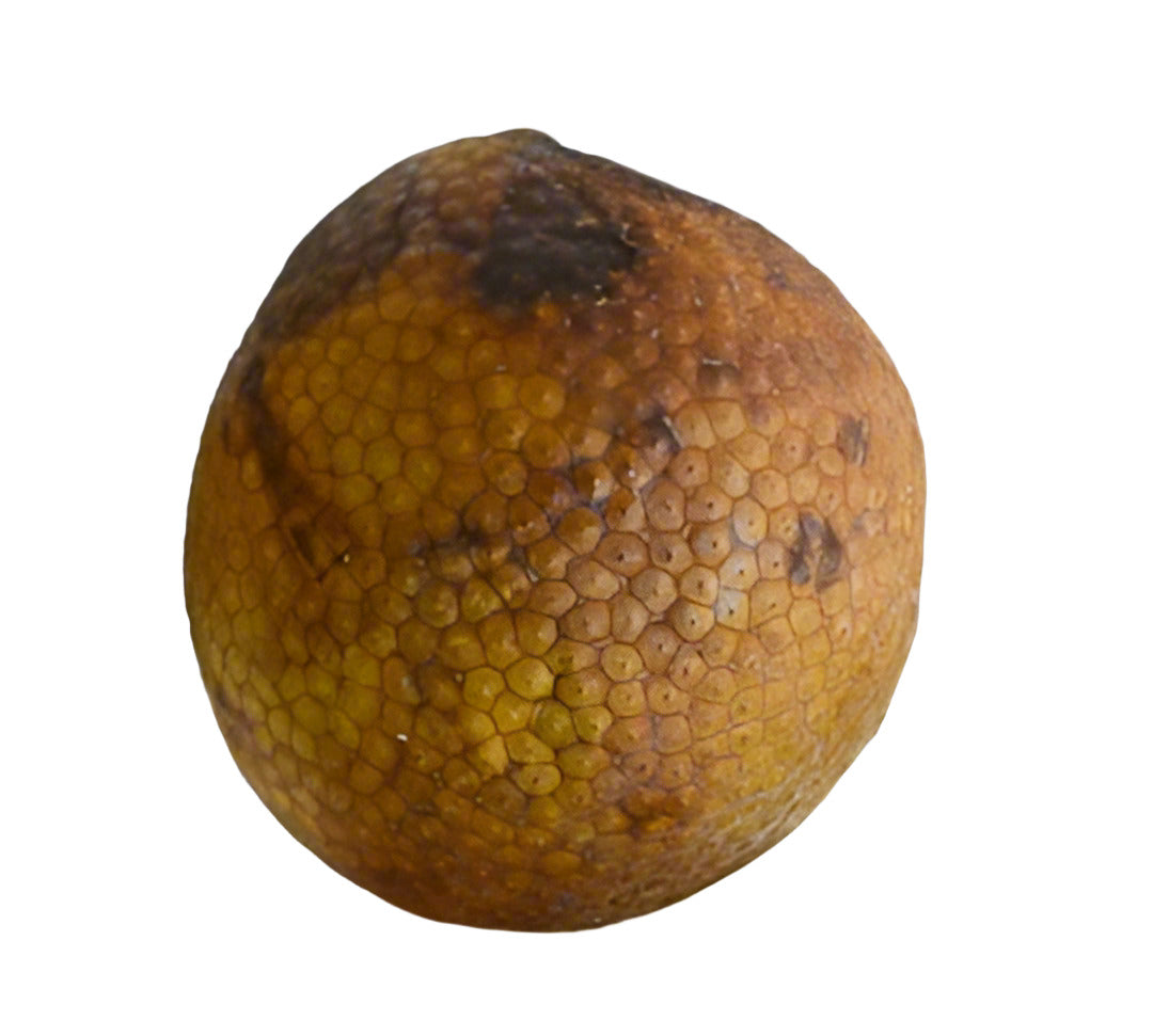 Jamaican Yellow Heart Breadfruit (Roasted)