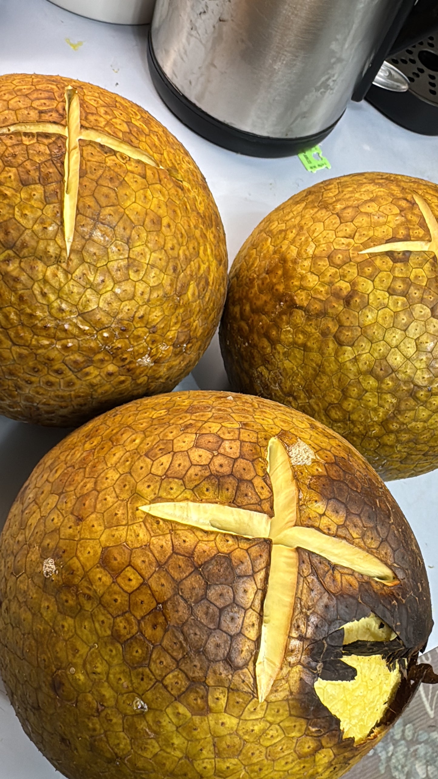 Jamaican Yellow Heart Breadfruit (Roasted)