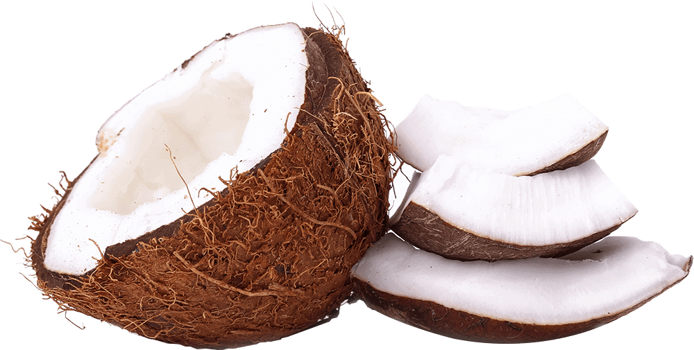 Broken Dry Coconut