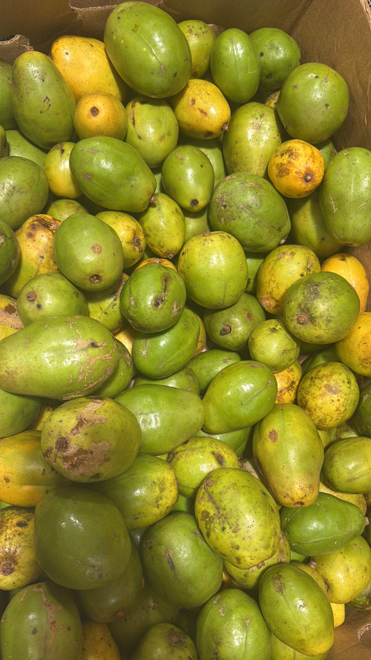 June Plum / Golden Apples per Pound