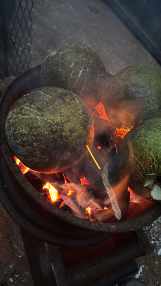Jamaican Yellow Heart Breadfruit (Roasted)