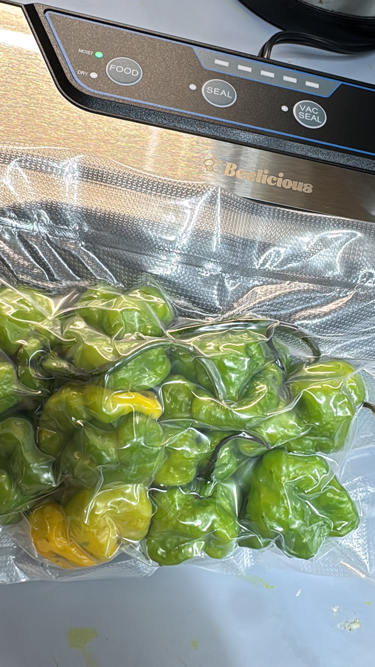 Jamaican Scotch Bonnet Peppers (25 Peppers)