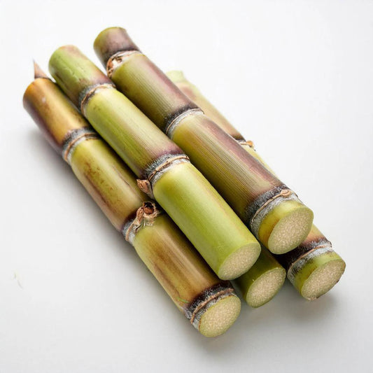 Sugar Cane (Bundle of 5)