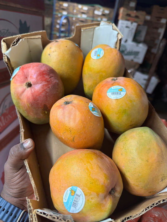 Mexican Mangos (3 count)